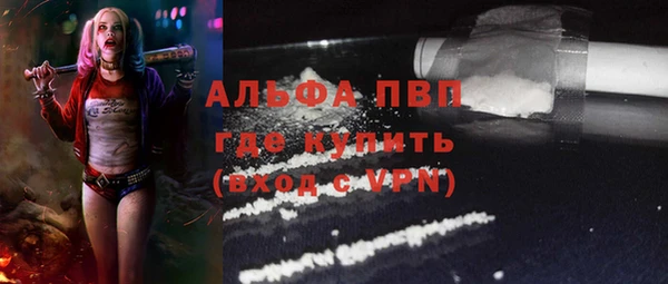 твердый Вяземский