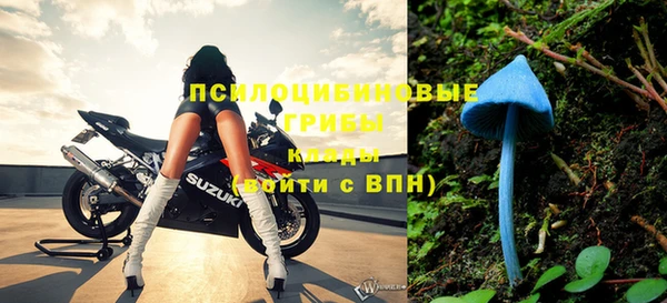 ешки Володарск
