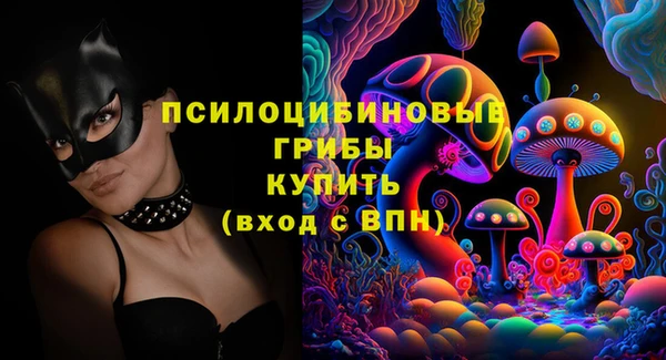 твердый Вяземский